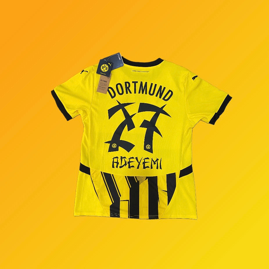 2024 Dortmund Home (M) BNWT
