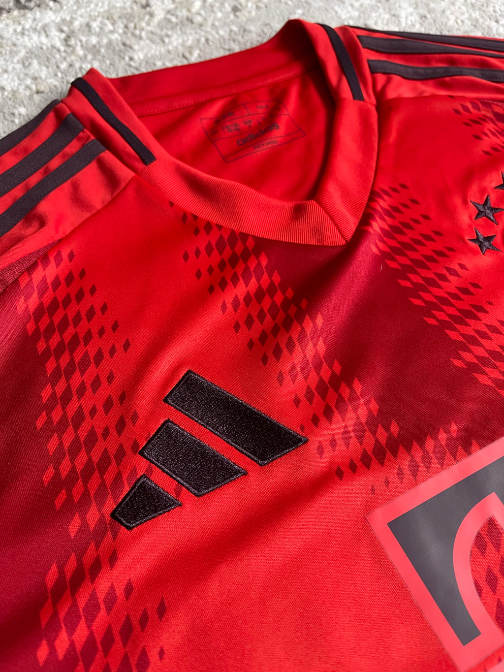 2024 Bayern Munchen Home (L) BNWT